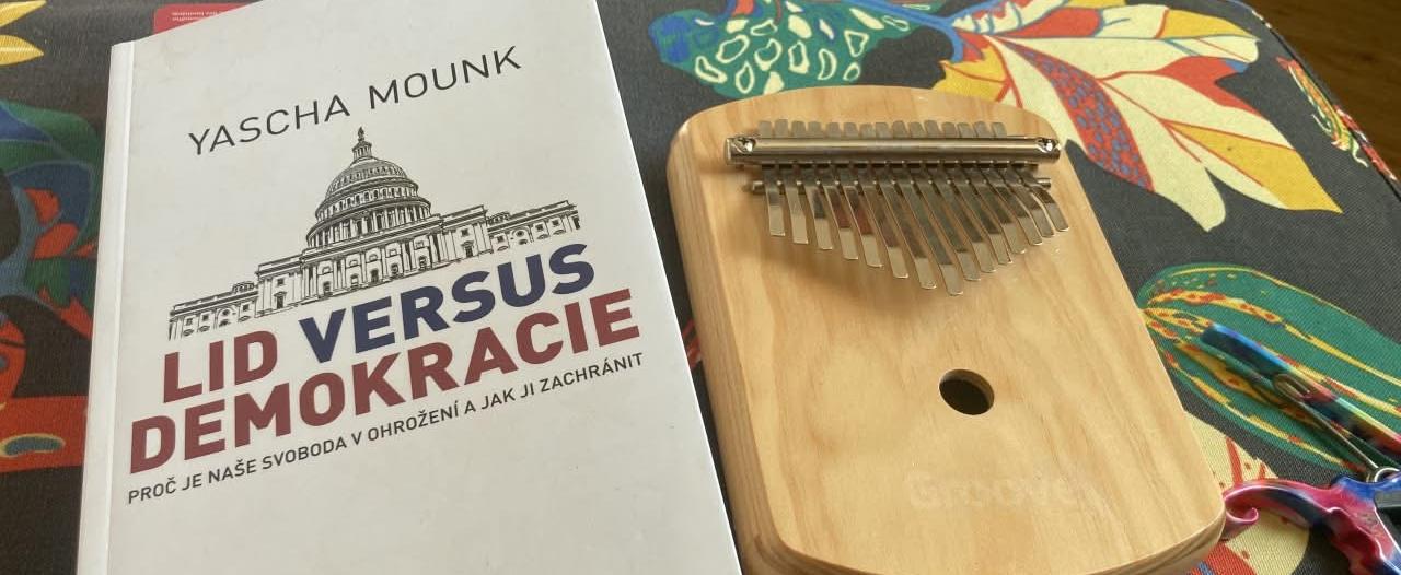 Lid versus demokracie